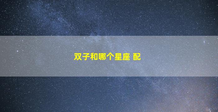 双子和哪个星座 配